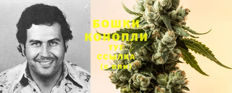 Марихуана SATIVA & INDICA  купить   Уржум 